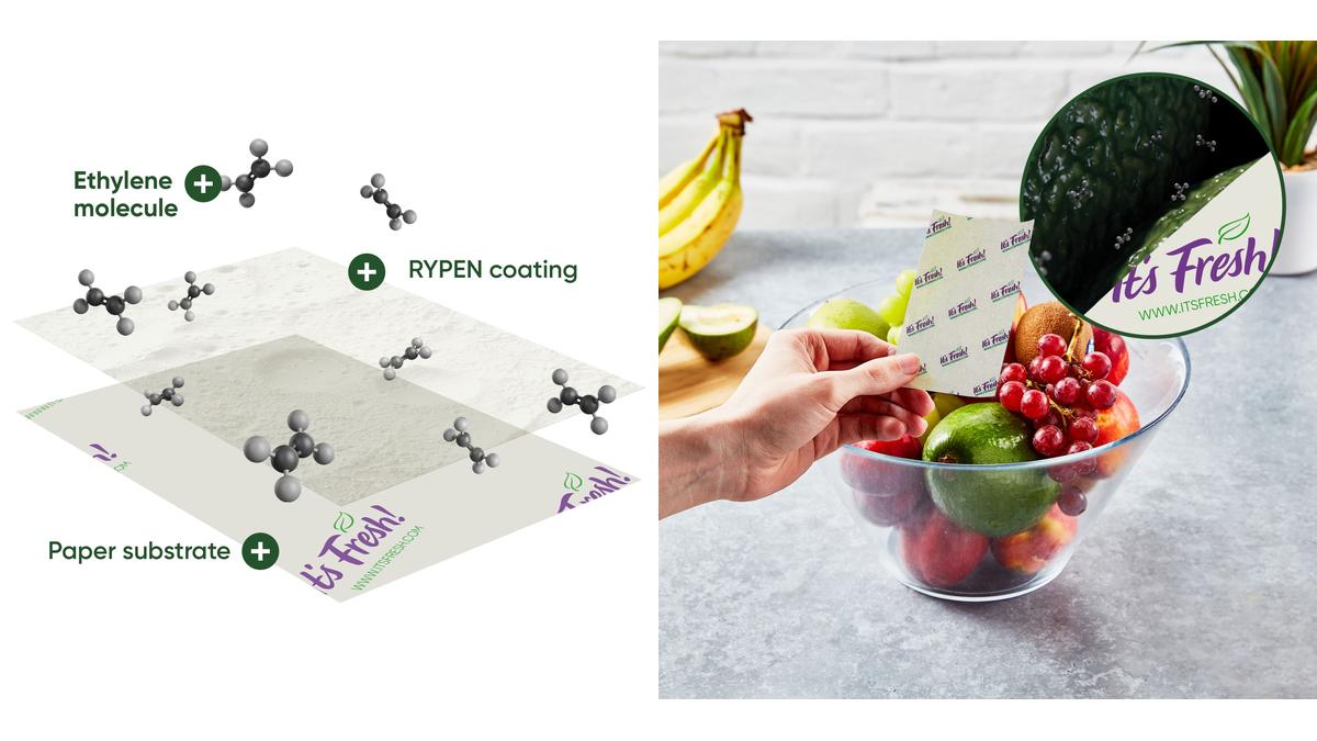 It’s Fresh! lleva su tecnología RYPEN® al hogar con las nuevas Stayfresh Sheets de Lakeland.jpg